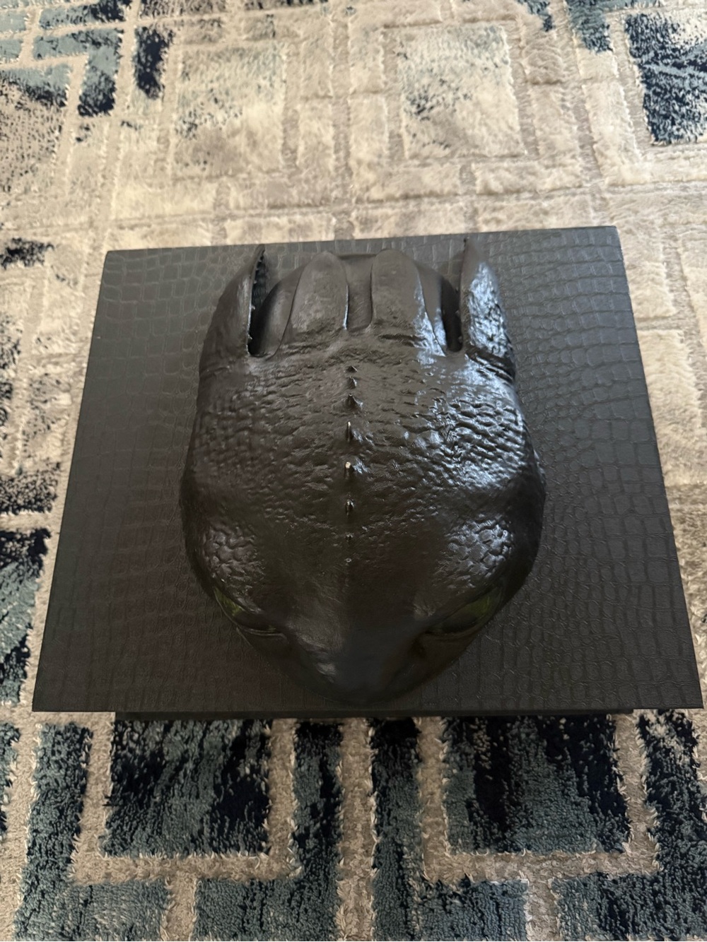How to train your dragon black box